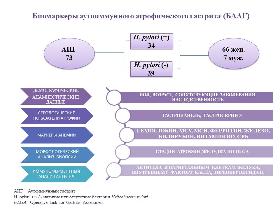         - PsyAndNeuroru