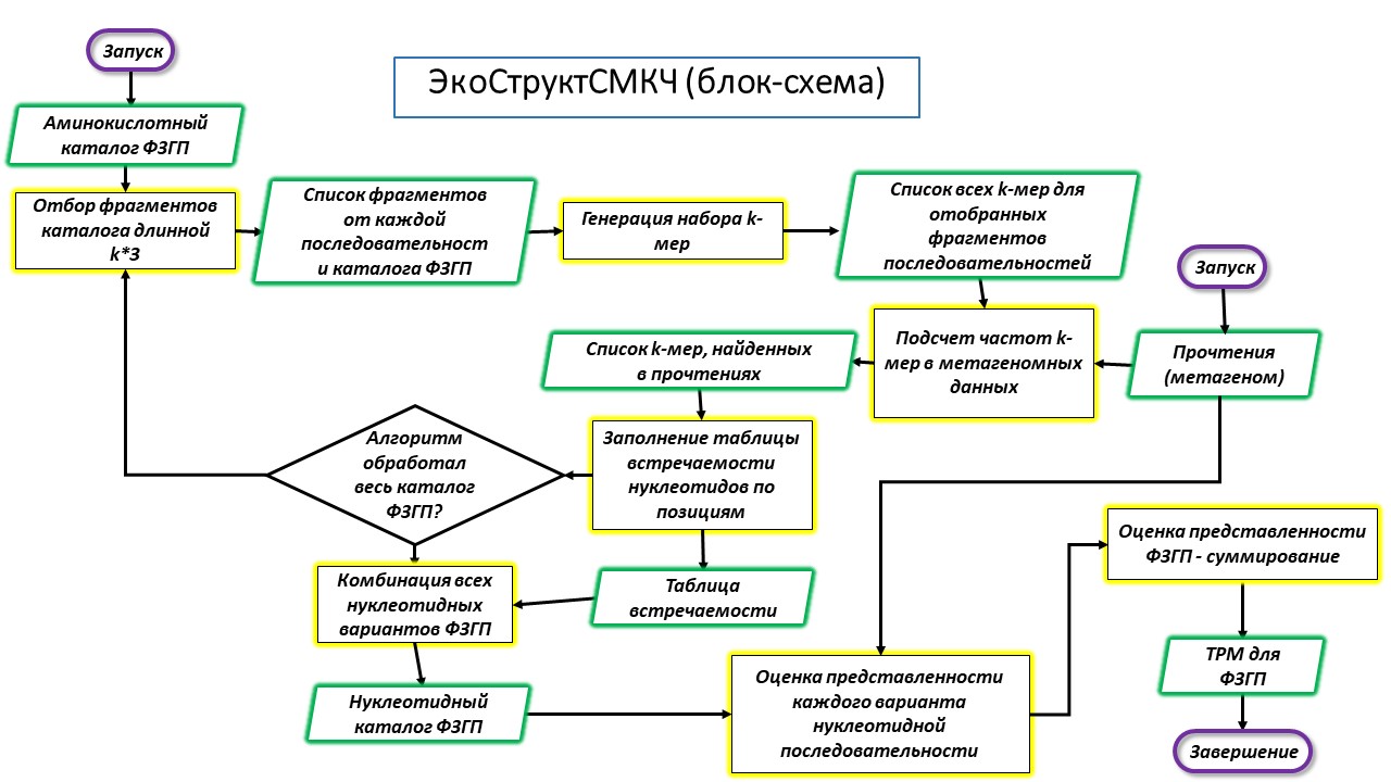 Программа для анализа экологической структуры симбиотической микробиоты  кишечника человека (ЭкоСтруктСМКЧ / EcoStructSHGM) | Прикладные  исследования и разработки, имеющие правовую охрану и готовые к  практическому применению