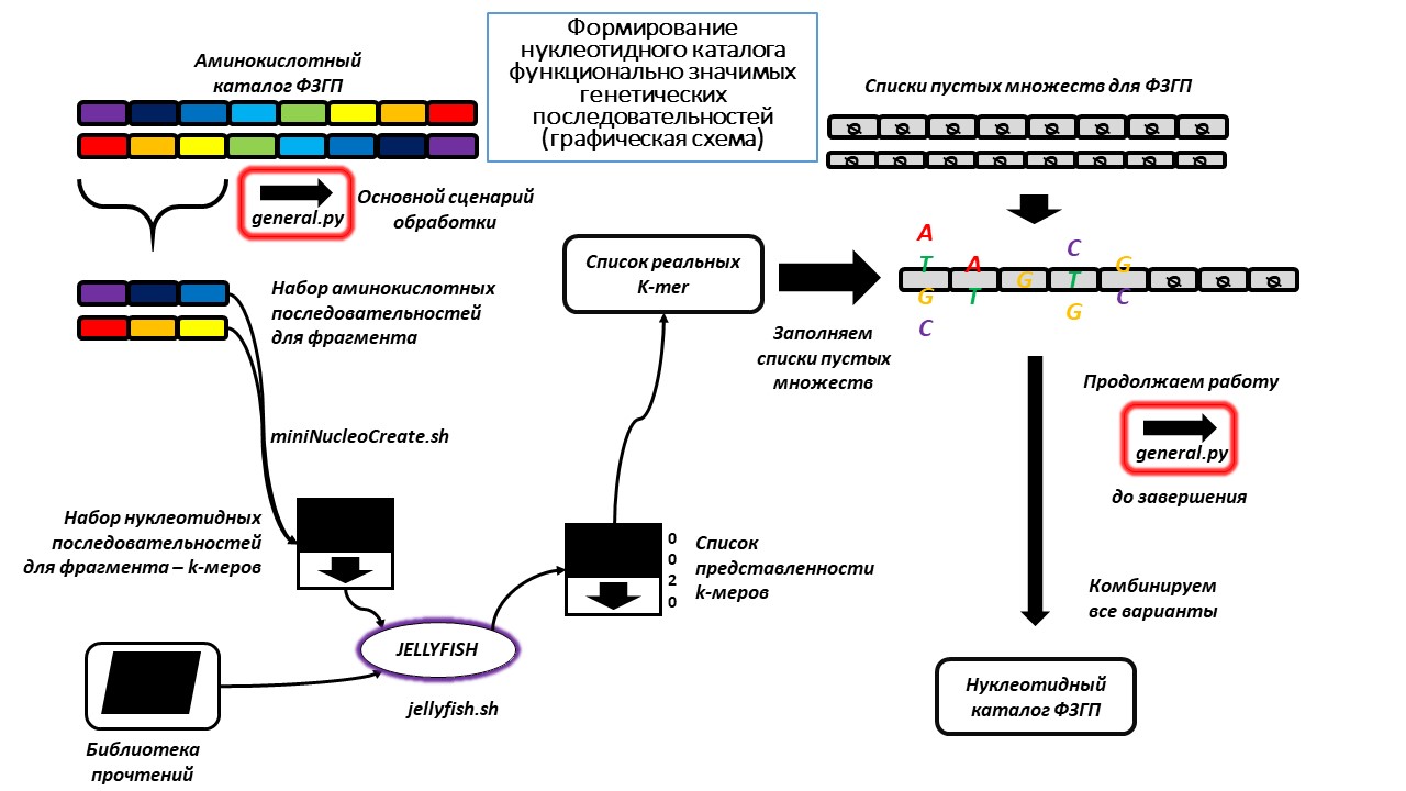 Программа для анализа экологической структуры симбиотической микробиоты  кишечника человека (ЭкоСтруктСМКЧ / EcoStructSHGM) | Прикладные  исследования и разработки, имеющие правовую охрану и готовые к  практическому применению