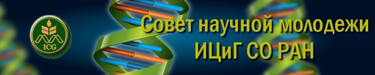 Гранты и конференции